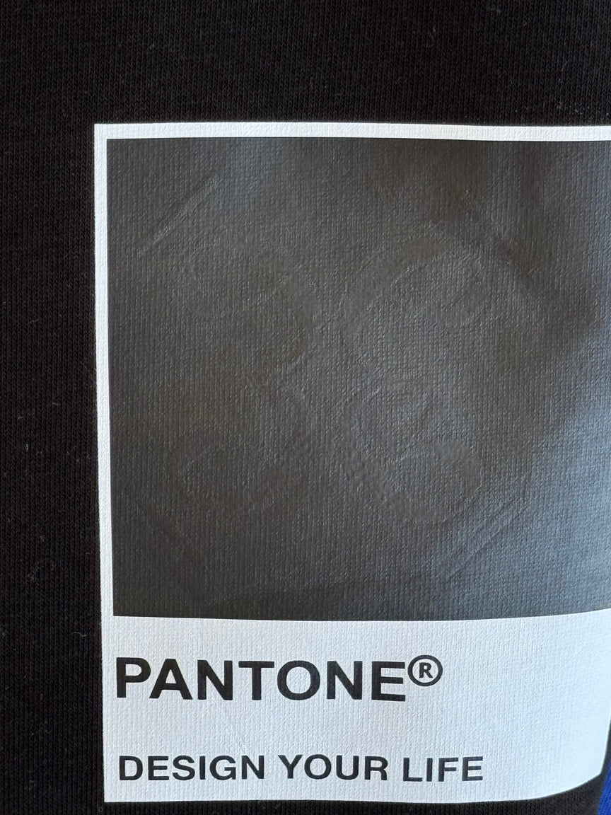 The Frēdom state Hoodie