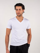 The Basic V-Neck Tee